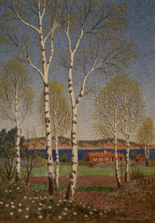 Painting "Vår" (Spring) by Oskar Bergman in water color depicting a beautiful landscape with birch trees and a house by the sea in the background.