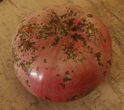 Red pumpkin by Hans Hedberg underneath